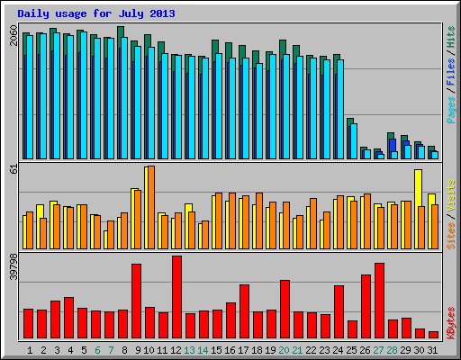 Daily usage for July 2013