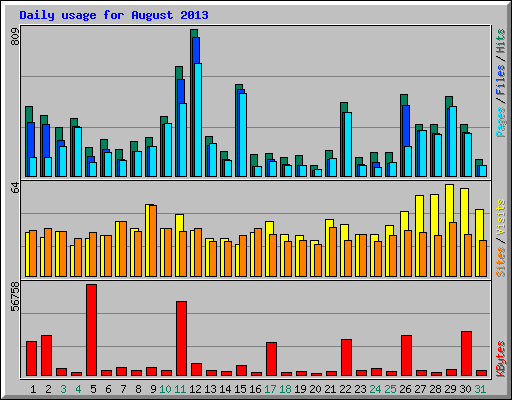 Daily usage for August 2013