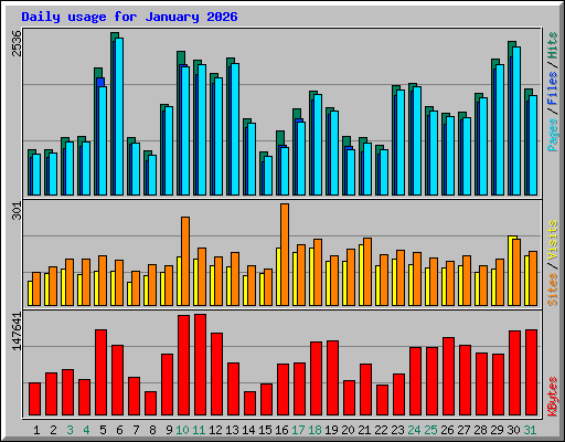 Daily usage for January 2026