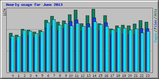 Hourly usage for June 2013
