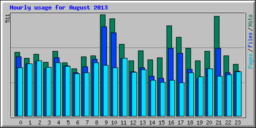 Hourly usage for August 2013