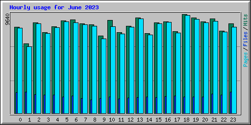Hourly usage for June 2023