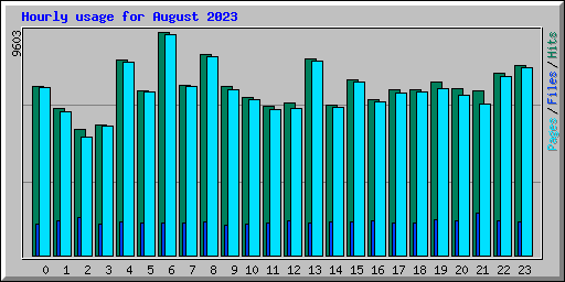 Hourly usage for August 2023