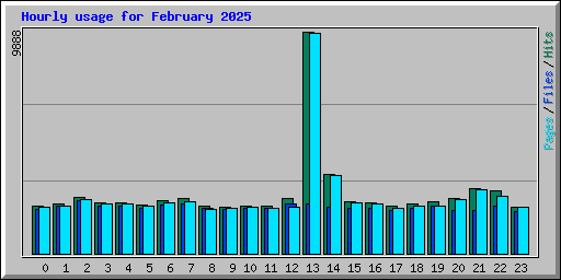Hourly usage for February 2025