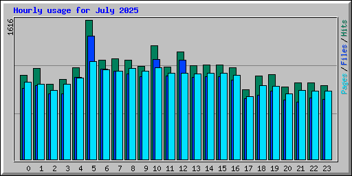 Hourly usage for July 2025