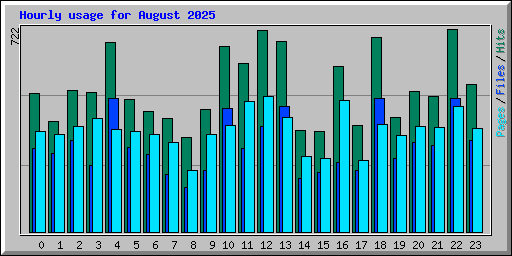 Hourly usage for August 2025