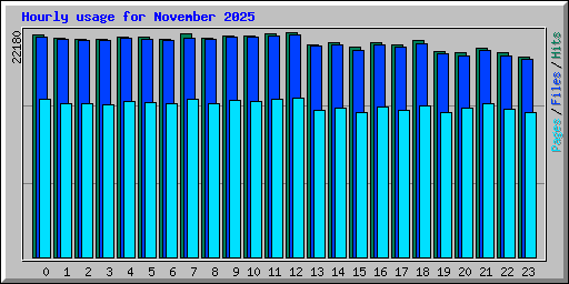 Hourly usage for November 2025