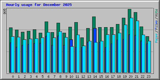 Hourly usage for December 2025