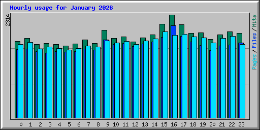 Hourly usage for January 2026