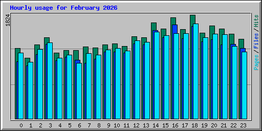 Hourly usage for February 2026